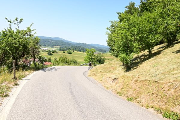 Maratona degli Argonauti 2025 – Foto 218