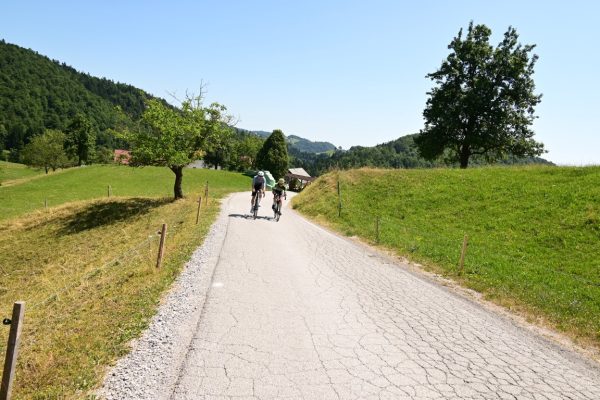 Maratona degli Argonauti 2025 – Foto 186